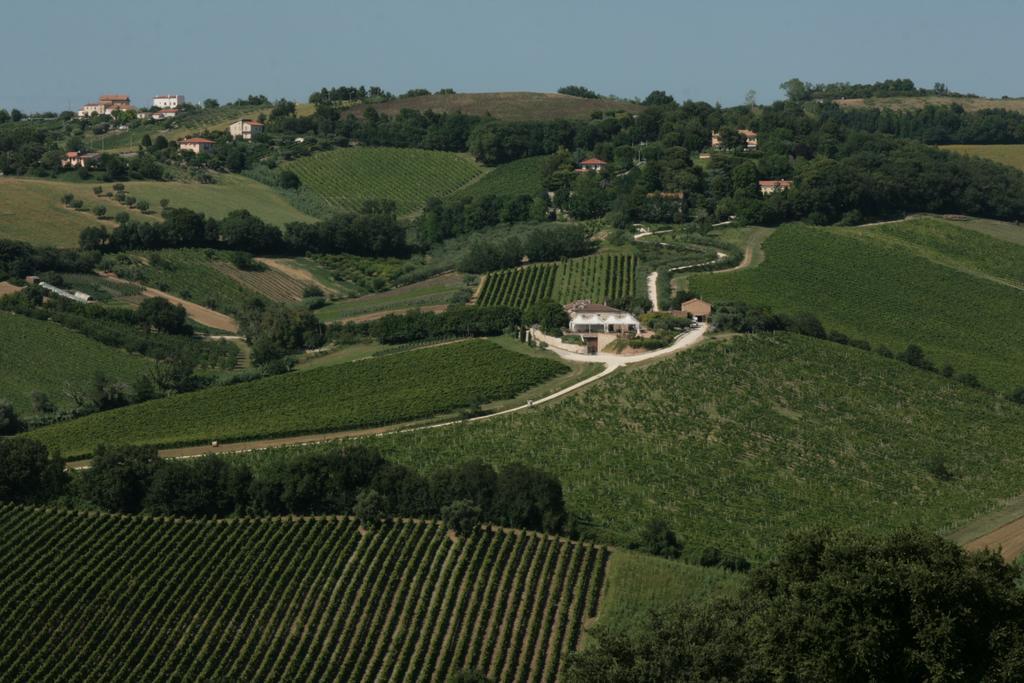 Agriturismo Le Vigne Del Conero Villa Ancona Exterior photo