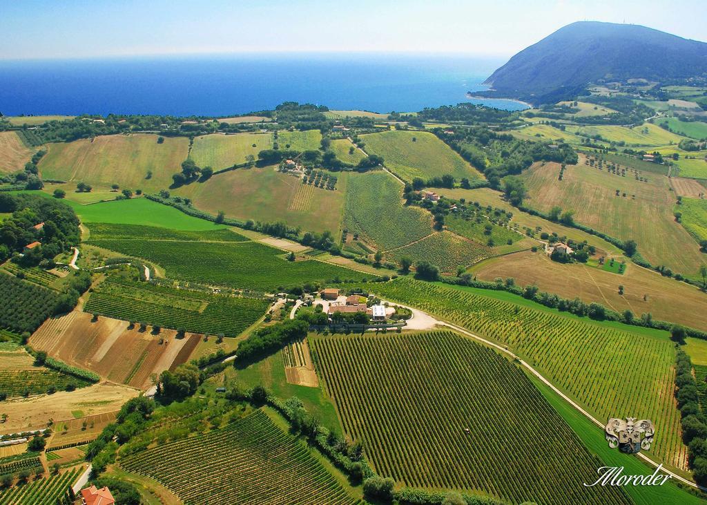 Agriturismo Le Vigne Del Conero Villa Ancona Exterior photo