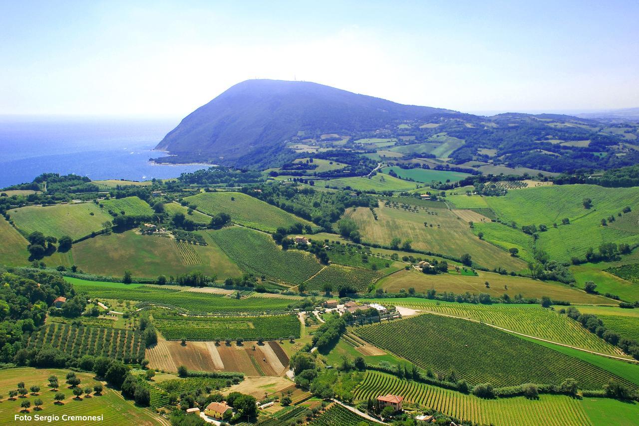 Agriturismo Le Vigne Del Conero Villa Ancona Exterior photo